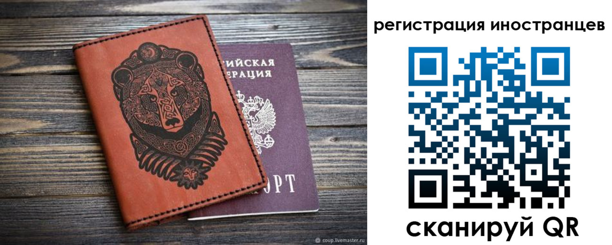 регистрация в Мурманской области